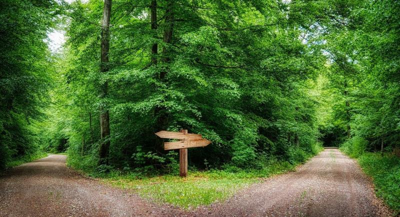 Photograph of a forest path splitting into two directions with a wooden signpost at the fork. Lush green trees surround the gravel paths, highlighting a natural setting and a choice between two routes. 