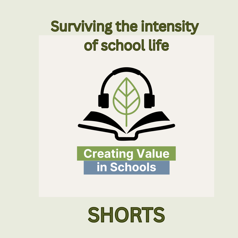 Artwork for episode 19 of the Creating Value in Schools podcast