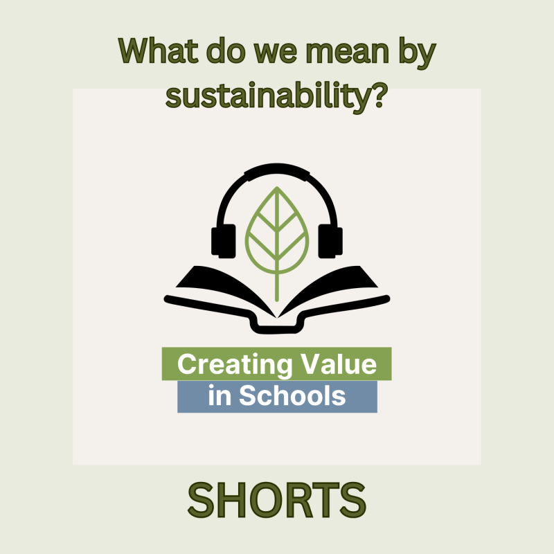 Artwork for episode 21 of the Creating Value in Schools podcast
